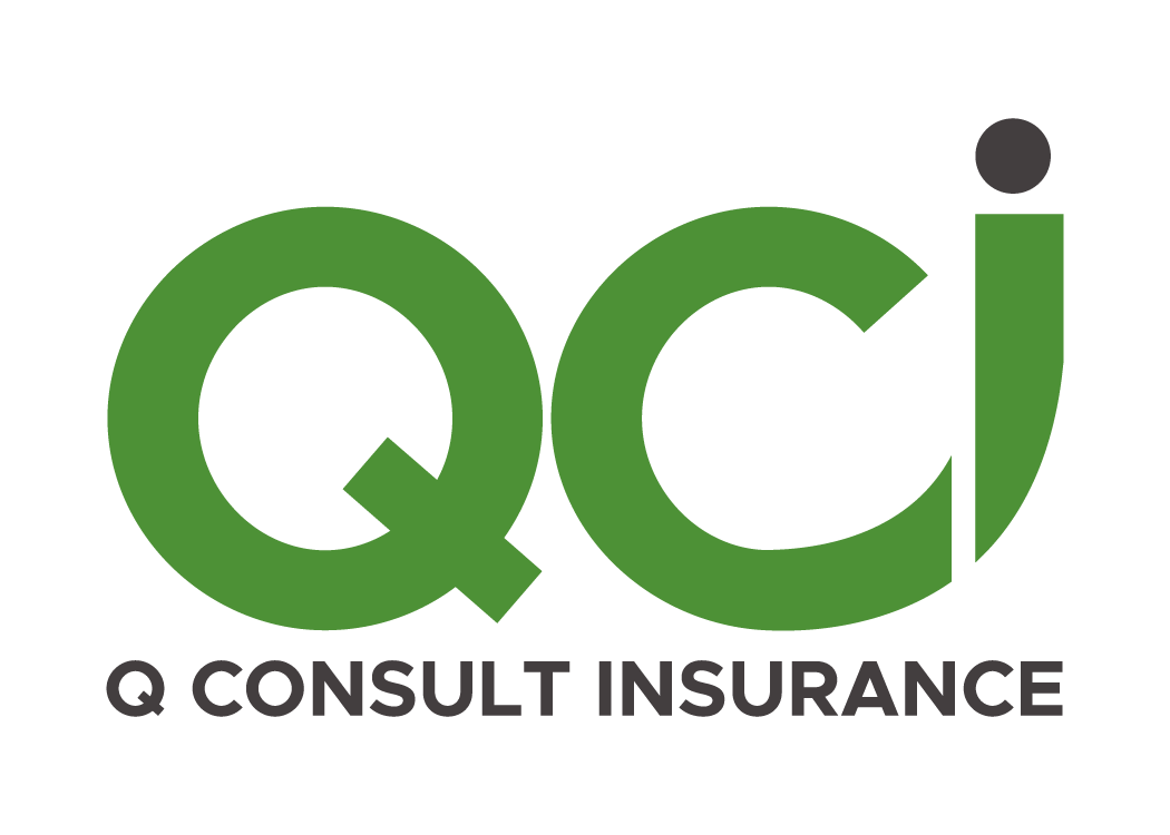 Logo Q Consult Progress Partners